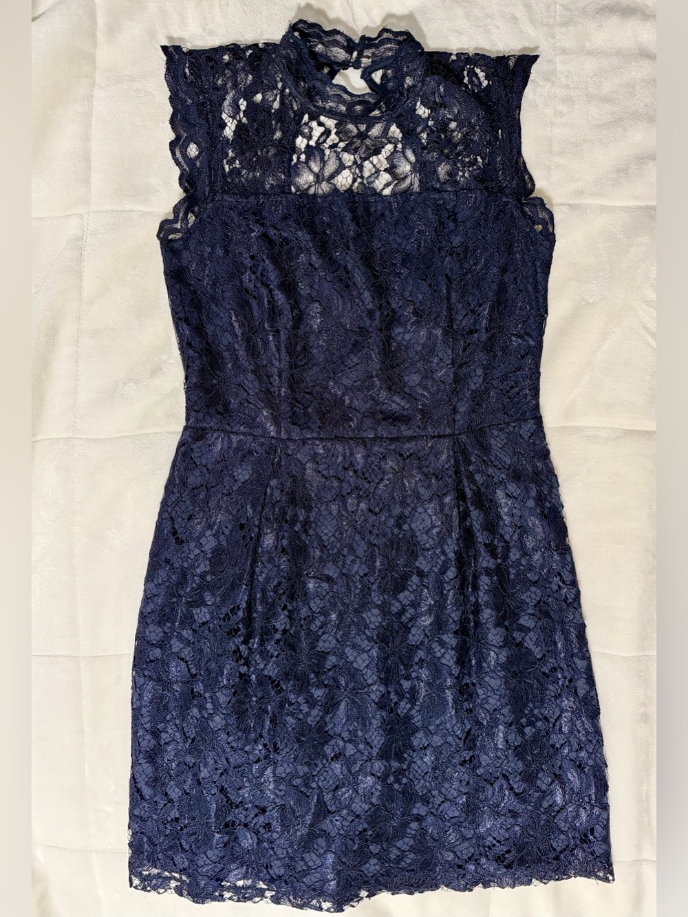Enfocus Studio Navy Lace Midi Dress with High Lace Yoke